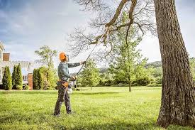Best Leaf Removal  in Hoback, WY